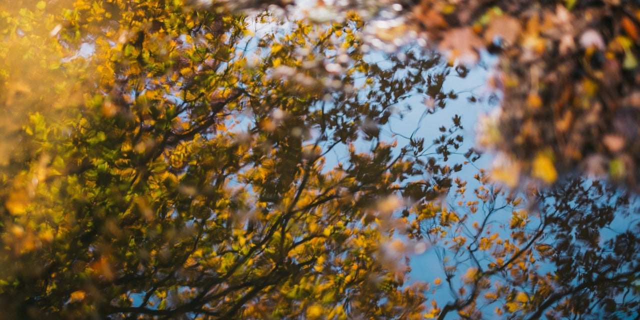 how to balance your hormones in a week this fall