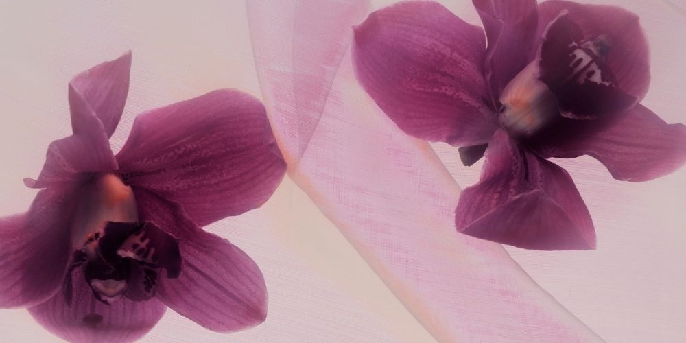 So, you bought a DivaCup. Now What?