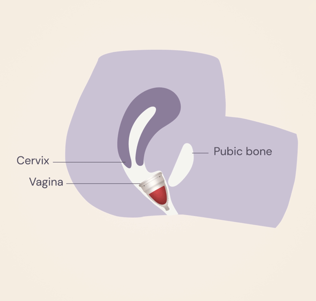 How to remove Menstrual Cup