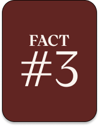 YOU DON'T NEED TO BOIL IT EVERY TIME.