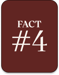 YES, YOU CAN LIVE YOUR LIFE IN IT.