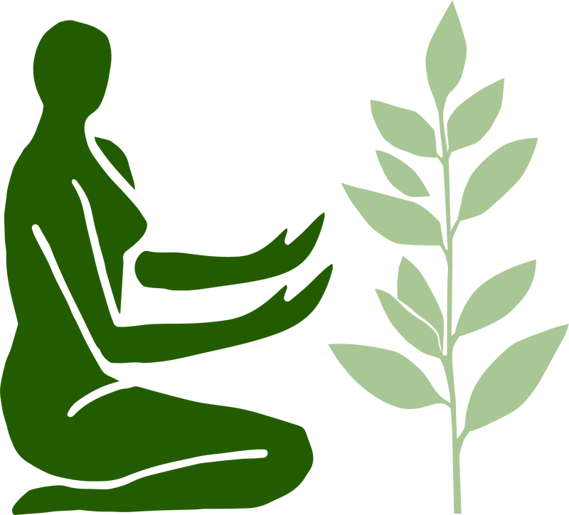 One Tree Planted in Canada